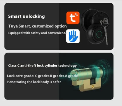 TouchGuard™ - Smart Fingerprint Door Knob
